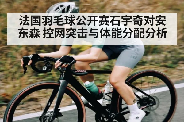 法国羽毛球公开赛石宇奇对安东森 控网突击与体能分配分析